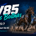 V85 tips Bollnäs 25/7